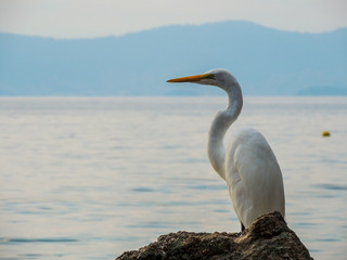 Perfect landscape, stunning place, gift from God