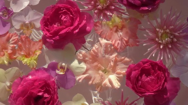 Big single water drops falling down on romantic colourful flowers, floating on the water surface as beautiful relax decoration. Close up slow motion shot. Top view.