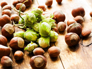 Hazelnuts on wood