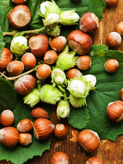 Hazelnuts on wood