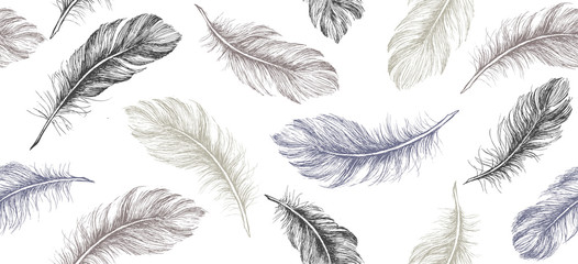 Fototapeta premium Hand draw set of feathers.