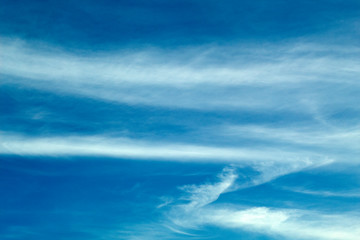Naklejka na ściany i meble white cloud on the blue sky