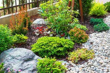 Landscape design in home garden, beautiful landscaping with flowers and stones. Landscaped part of...