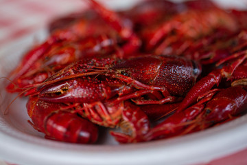 Boiled Crawfish on a styrofoam plate on red checkered tablecloth