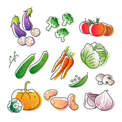 Collection of eco natural harvest products, illustrations in sketchy style of healthy eco natural vegetables, free hand vector drawing.  Images of farming veggies, good for farming market, restaurant
