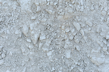  Cretaceous mountains, the remnants of the skeletons of marine animals. Close-up