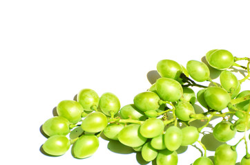 Bunch of green grapes isolated on white background,photo