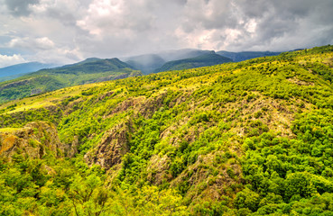Obraz premium Beautiful summer landscape in the mountain range