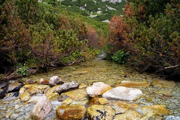 The stones in the mountain stream flowing through Mlynicka valley near the Skok waterfall. © Stanislav