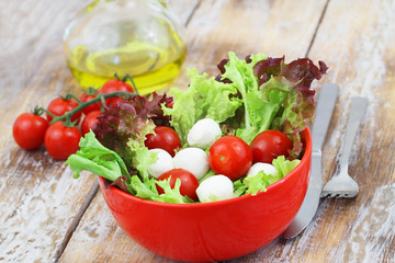 Healthy mozzarella and cherry tomato salad in red bowl on checkered cloth