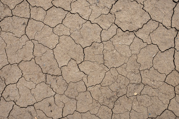 Land with dry and cracked ground, background image, top view