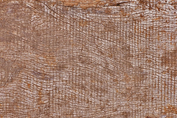 Dirty grunge Color and texture of wooden wall background.