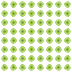 Vector botanical seamless pattern background with ornate flowers. Design for natural cosmetics, health care and products, yoga center. green flower pattern.
