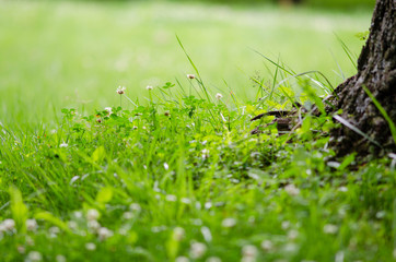 茨城牧場長野支場