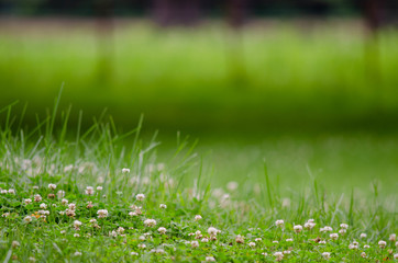 茨城牧場長野支場