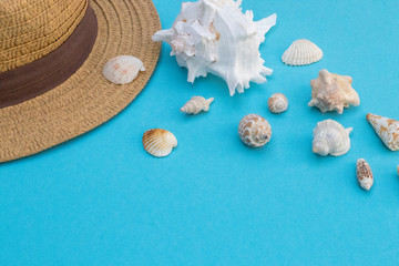 Hat and shells on a blue background, summer mood