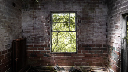 Fototapeta na wymiar Windowpane