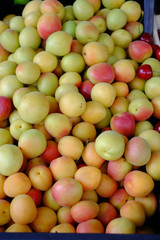 Gelbe Mirabelle auf dem Wochenmarkt