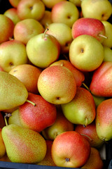 Leckere Äpfel an einem Verkaufsstand
