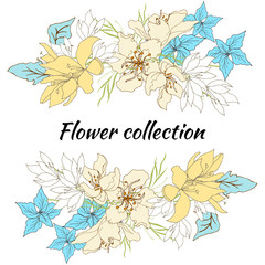 Floral frame for text. Set of vector flowers. Vintage hand-drawn flowers on white background. Vector illustration.