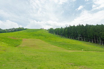 夏の聖高原