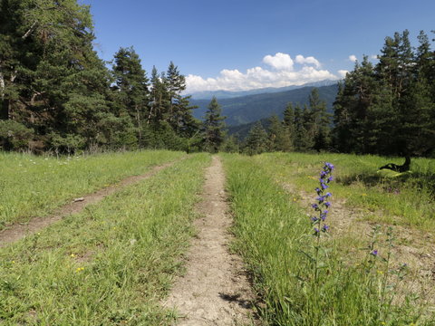 Wandern in National Park Bordschomi, Georgien