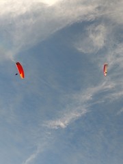 kite in the sky