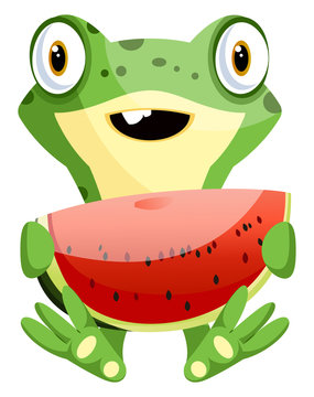 Cute baby frog holding a watermelon, illustration, vector on white background.