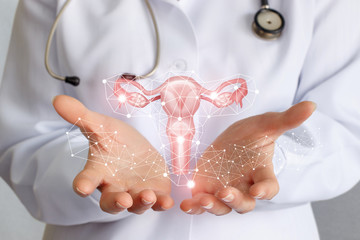 Worker of medicine shows the uterus . - obrazy, fototapety, plakaty