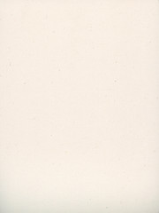Scan of a blank white canvas