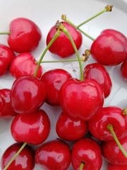 cherries on white background