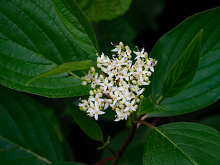 OLYMPUS DIGITAL CAMERA - THE PARK