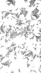 Flying dollars banknotes isolated on white background. Money is flying in the air. 100 US banknotes new sample. Black and white style. 3D illustration