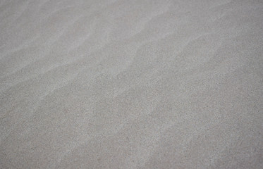 Fototapeta na wymiar Beautiful sand background,Footprint on sand,Small plants on the sand.
