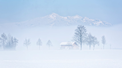 Zimowa mgła - obrazy, fototapety, plakaty