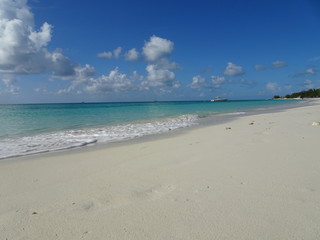 Traveling the paradise