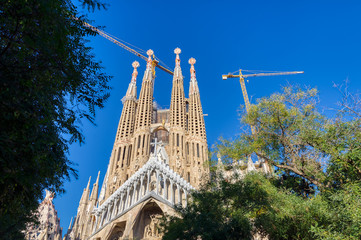 Fototapeta premium The Sagrada Familia the cathedral designed by Gaudi, Barcelona