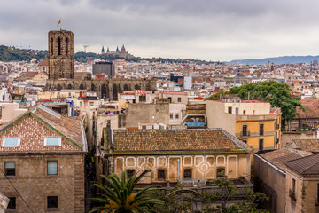 View of the roofs of Barri Gotic from the Cathedral terrace. Barcelona.