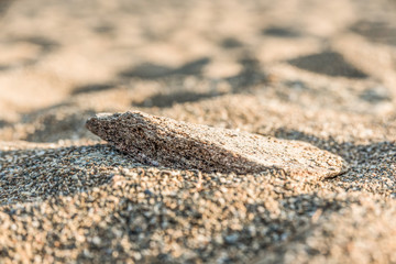 Stone in the sand on a beach at sunset Serifos Island, Cyclades, Greece