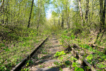 Obraz premium Old rusty rails of an abandoned railway.