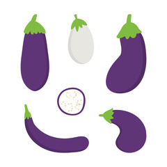 Set, collection of cartoon style eggplant, aubergine in different sizes and shapes for harvest, cooking, vegetables design.