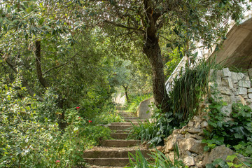 Pfad zum Meer an der Adria