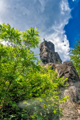 Hirschen Sprung Fels Karlsbad Berg Wald