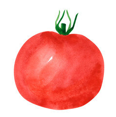 Vegetable, tomato, hand drawn watercolor illustration isolated on white with clipping path