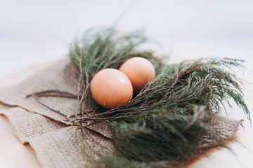 chicken eggs on green evergreen leaves