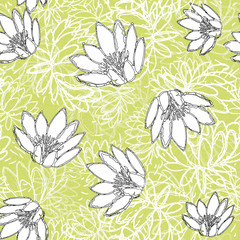 Water Lily Pattern Hand Drawn