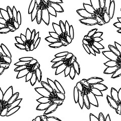 Water Lily Pattern Hand Drawn