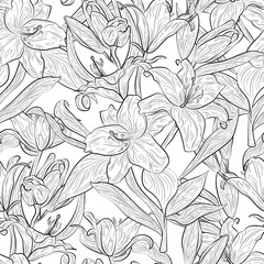 Beautiful  seamless pattern with Lily flowers . Vector illustration. 