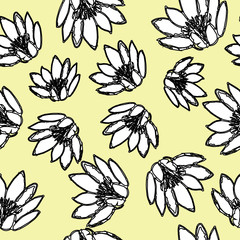 Water Lily Pattern Hand Drawn