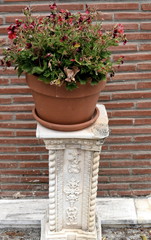 Fototapeta na wymiar flowerpot on a marble column